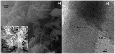 Improved Gas Selectivity Based on Carbon Modified SnO2 Nanowires